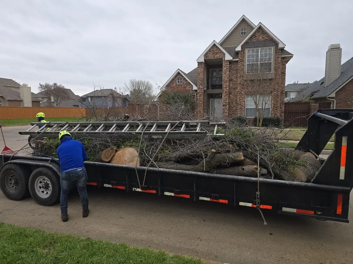 Expert Tree Fertilization with proper safety equipment in Winfield